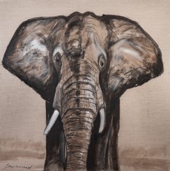 elephant-afrique.jpg