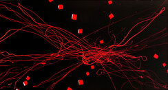 2013_abstrait01.jpg